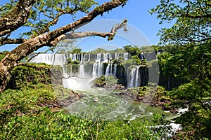 Iguazu waterfall in Argentina