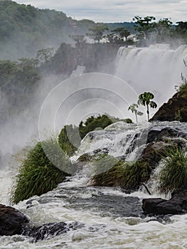 Iguazu waterfall in Argentina