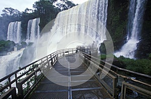 Iguazu Waterfalls in Parque Nacional Iguazu, border of Brazil and Argentina photo