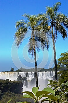 Iguazzu Falls 3