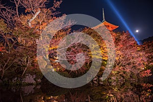 Iight up laser show at kiyomizu dera temple