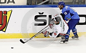 IIHF World Championship