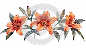 Iimage with nice watercolor lily flower bouquet