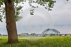 IJssel bridge Zwolle, Netherlands photo