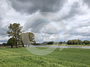 IJssel river around Welsum
