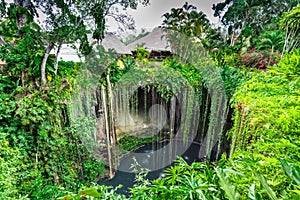 Ik-Kil Cenote, Chichen Itza, Mexico