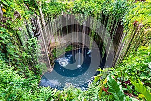 Ik-Kil Cenote, Chichen Itza, Mexico