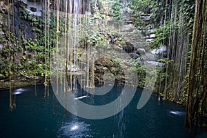 Ik-kil cenote Yucatan Mexico