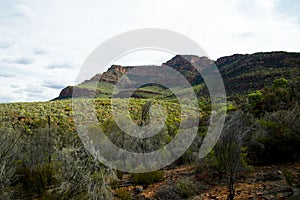 Ikara-Flinders Ranges National Park