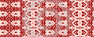 Ikat Ornament Ethnic Vector Seamless Pattern