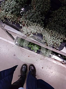 Ikea plants ft. Shoes photo
