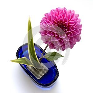 Ikebana photo