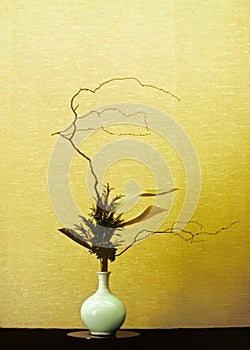 Ikebana photo
