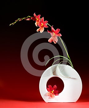 Ikebana design photo