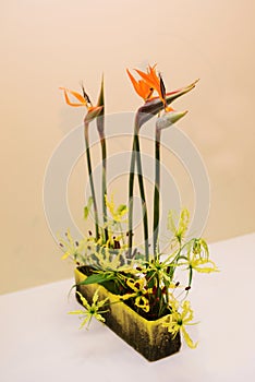 Ikebana. Flower arrangement