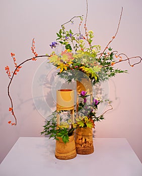 Ikebana. Flower arrangement