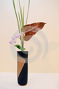 Ikebana. Flower arrangement