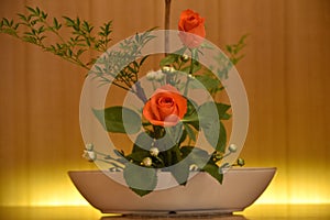 Ikebana flower arrangement. red rose photo