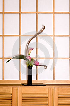 Ikebana and shoji window