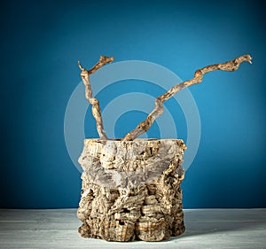 Ikebana-two curved branches in a cork cortex on a blue background