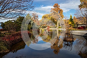 Ikeda Japanese Garden in autumn in Penticton, BC