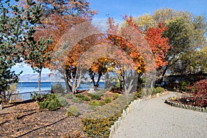 Ikeda Japanese Garden in autumn in Penticton, BC