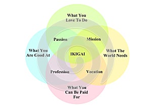 The Ikigai chart diagram with detailed descriptions white backdrop photo