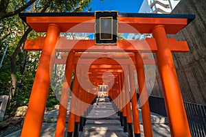 Ikuta-jinjya shrine It is a shrine in Kobe