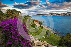 Il-Mellieha, Malta - Beautiful flowers and a sunset scene with Mellieha town, palm trees and colorful sky