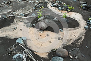 IL and stones on bottom of river Studenaya. Kamchatka Peninsula.