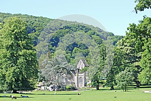 Ilam Park, Peak District, Derbyshire