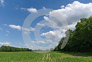 Agriculturals fields and forest in Ile de France country