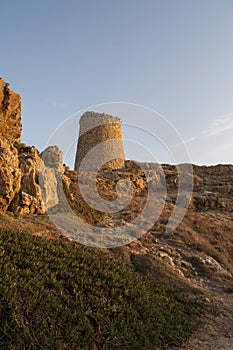 Ile de la Pietra, Stone Island, Ile-Rousse, Red Island, Corsica, Upper Corsica, France, Europe, island