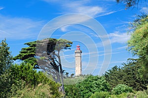 Ile de Re lighthouse Phare des Baleines