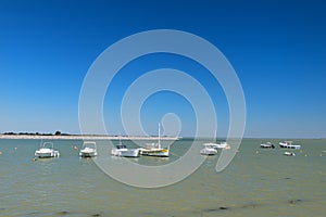 Ile de RÃÂ© - boats in harbor of Loix photo