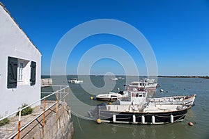 Ile de RÃÂ© harbor in village Loix photo