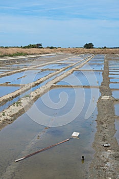 Ile de RÃ© salt lake and tools for harvesting