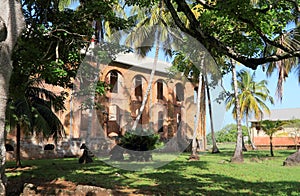 French Guiana, Royal Island: Ruins of Military Hospital photo