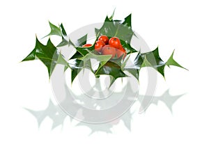 Ilex,holly, christmas decoration isolated on white