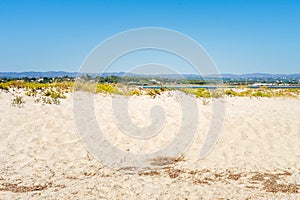 Ilha Da Fuzeta Beach Dunes In Portugal