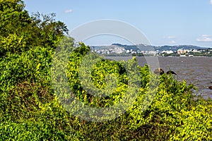 Ilha das Pedras Brancas Island and Guaiba lake photo