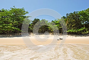 Ilha Grande: Beach Praia Lopes mendes, Rio de Janeiro state, Brazil photo