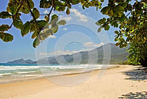 Ilha Grande: Beach Praia Lopes Mendes, Rio de Janeiro state, Brazil photo