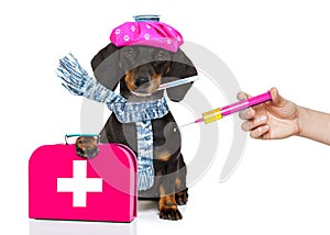 Ill sick dog with illness and vaccine syringe