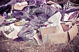 Illegal dumping with bottles, boxes and plastic bags