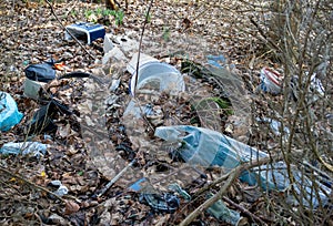 illegal dumping in a forest