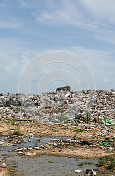 Illegal dumping ground photo