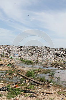 Illegal dumping ground photo