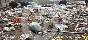 Illegal dumping ground.