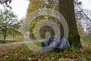 Illegal dumping in the nature